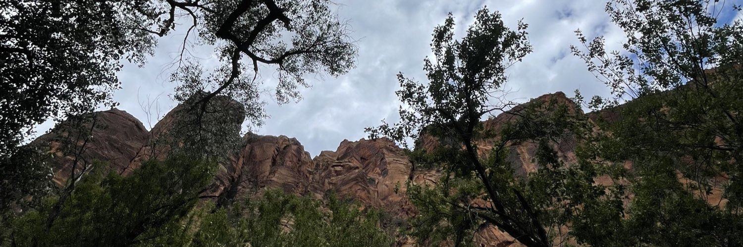 KirbyDontEatThat banner