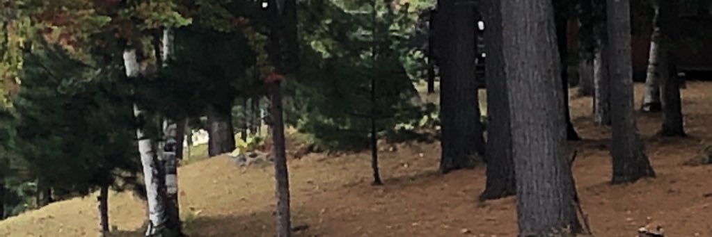 Nabeel Alkhatib banner