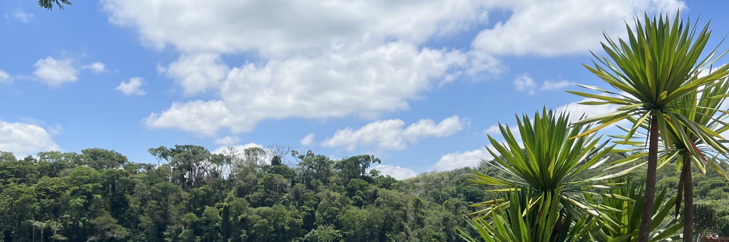 sraormeli's profile banner image