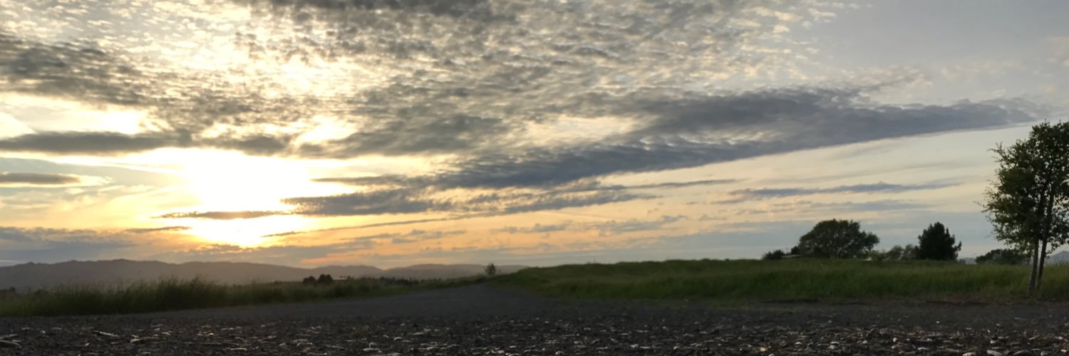 lesMESAribles's profile banner image