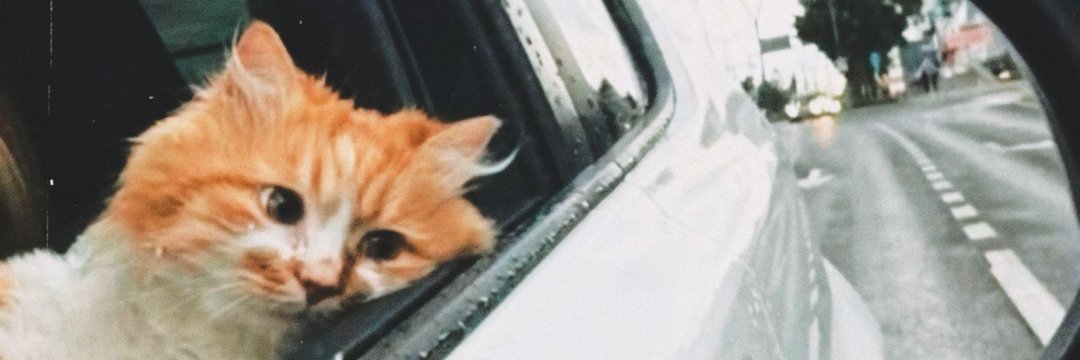 kaanyildirima's profile banner image
