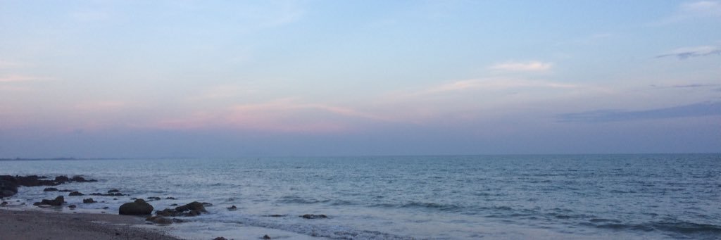 dueannao's profile banner image