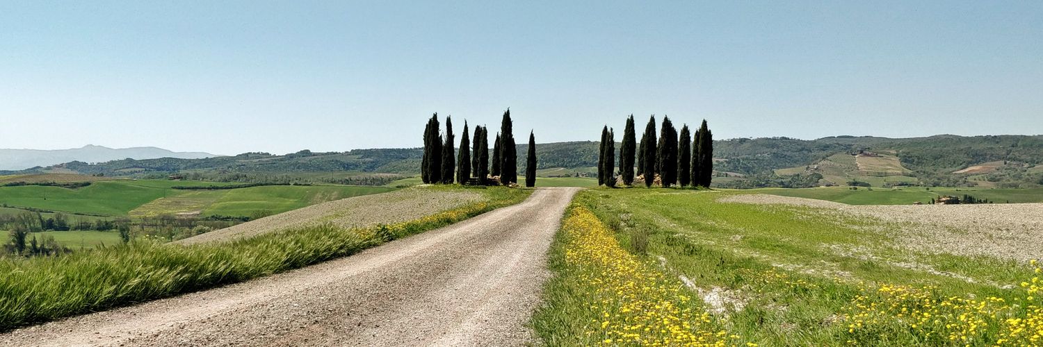 aragonale_'s profile banner image