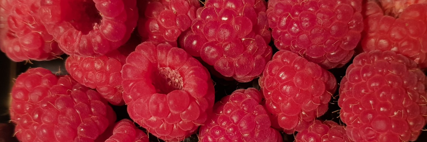 Carolccpp's profile banner image