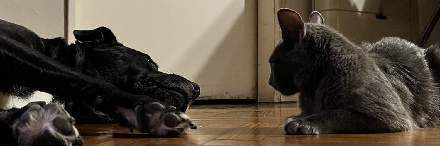 nachcabreraa's profile banner image