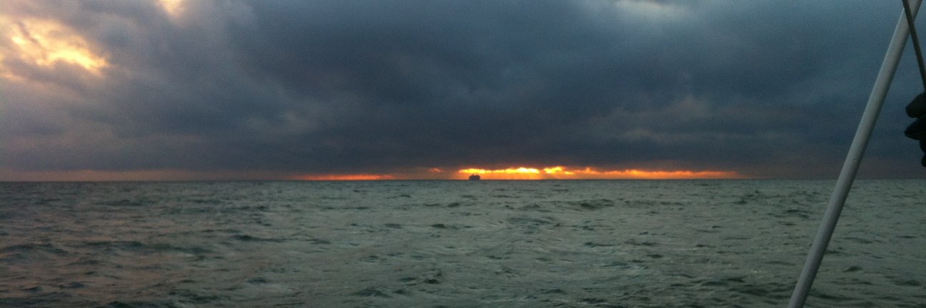 Pieter Goltstein banner