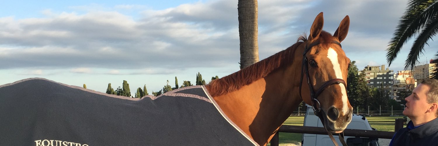 CharlottaLev's profile banner image