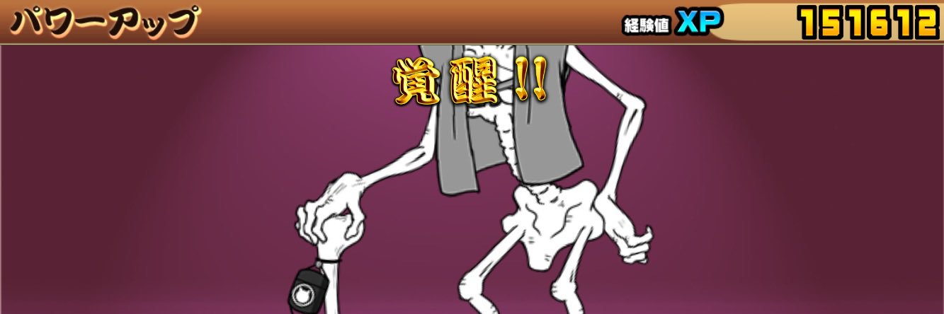 いんこ大好き banner