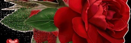 taljnh68's profile banner image