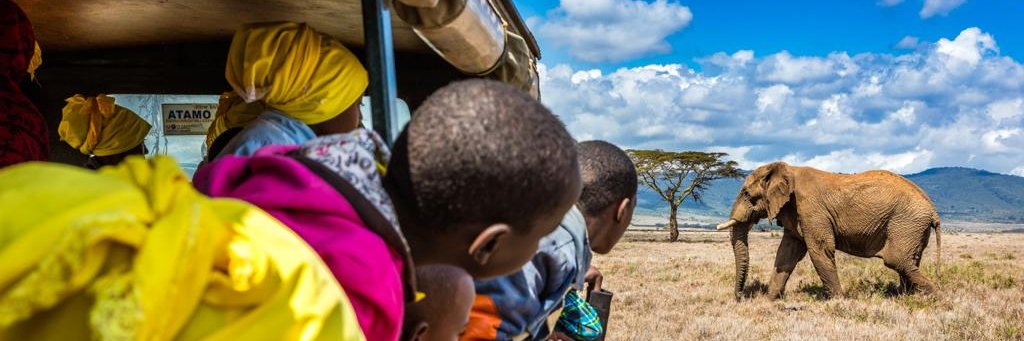 Lewa Wildlife Conservancy's banner