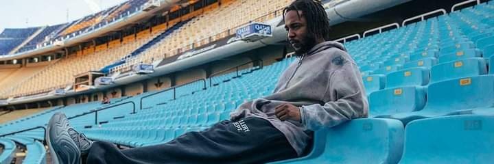 dalailemi0's profile banner image