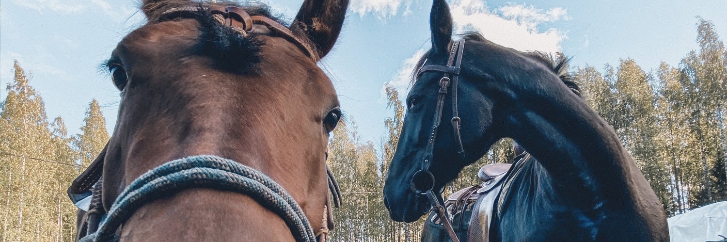 Tiemufkc's profile banner image