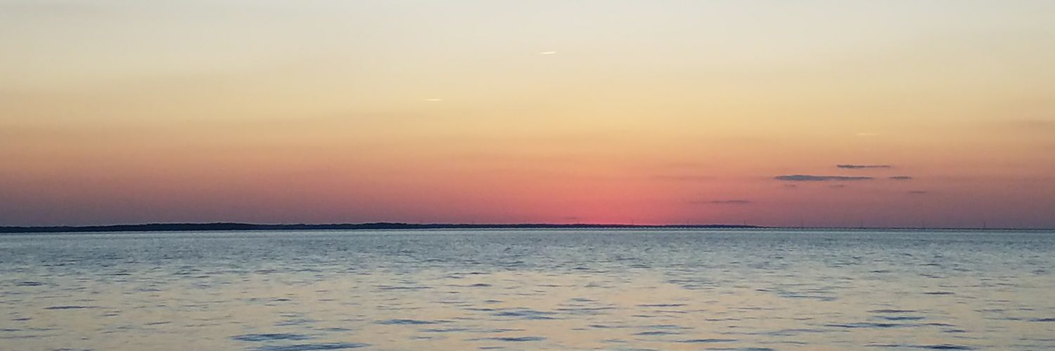 N_pica's profile banner image