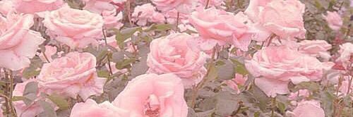 みる   ♡♡ banner