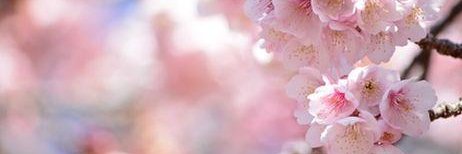 bbbchreality's profile banner image
