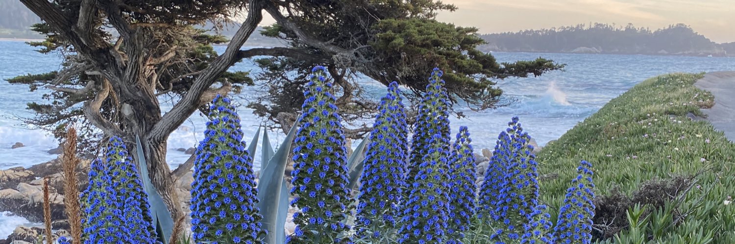 Nichole Tyson, MD banner