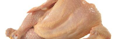 Jean_Le_Poulet's profile banner image