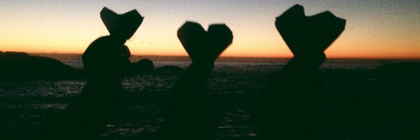 Migneon Profile Banner