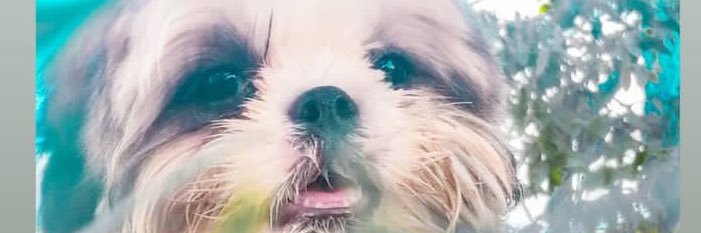GANDENNNGGG's profile banner image