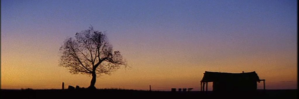 RealBamaBrooks's profile banner image