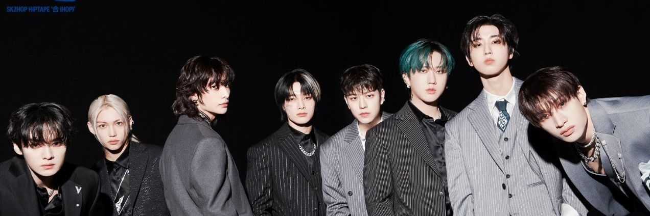 vinchanie's profile banner image