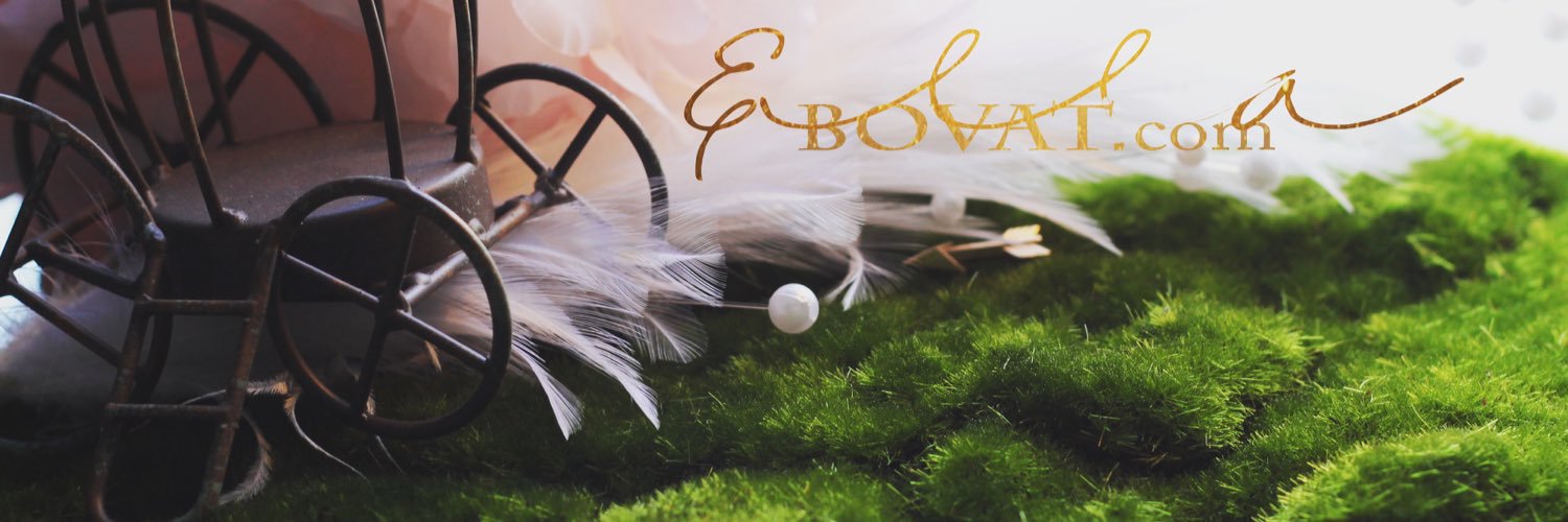 EllaBovat's profile banner image