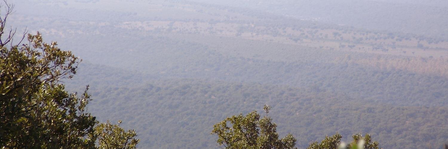 sitibundos's profile banner image