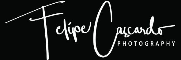 CascardoFelipe's profile banner image