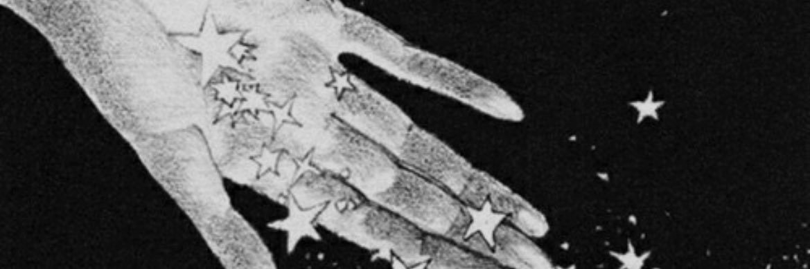 birdie's banner