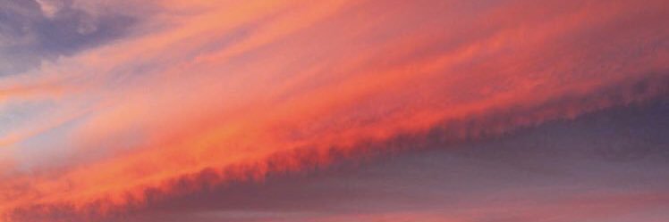 pharaonis_'s profile banner image