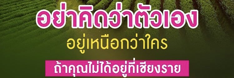 เพื่อนเอง banner
