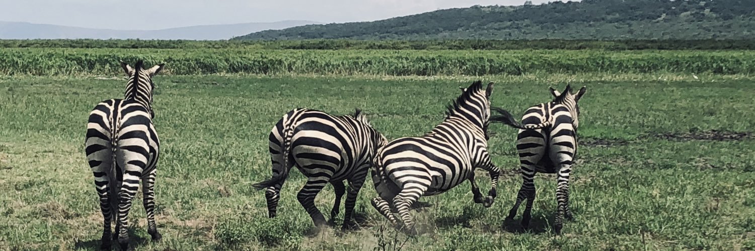 Carolina Cardona banner