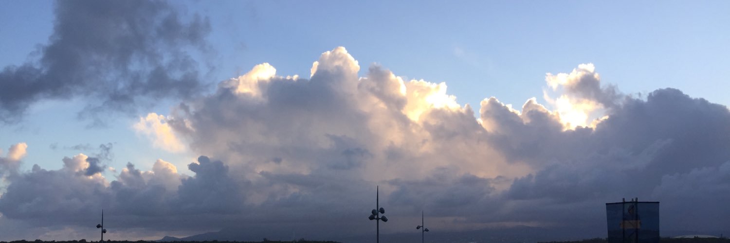 bolinis's profile banner image