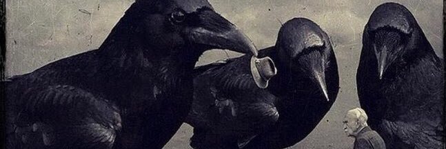 Piulenc's profile banner image
