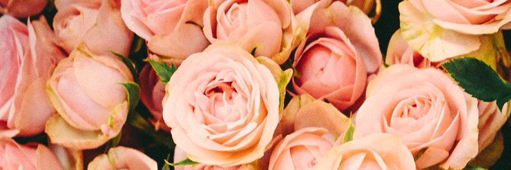 vidiarinanda's profile banner image