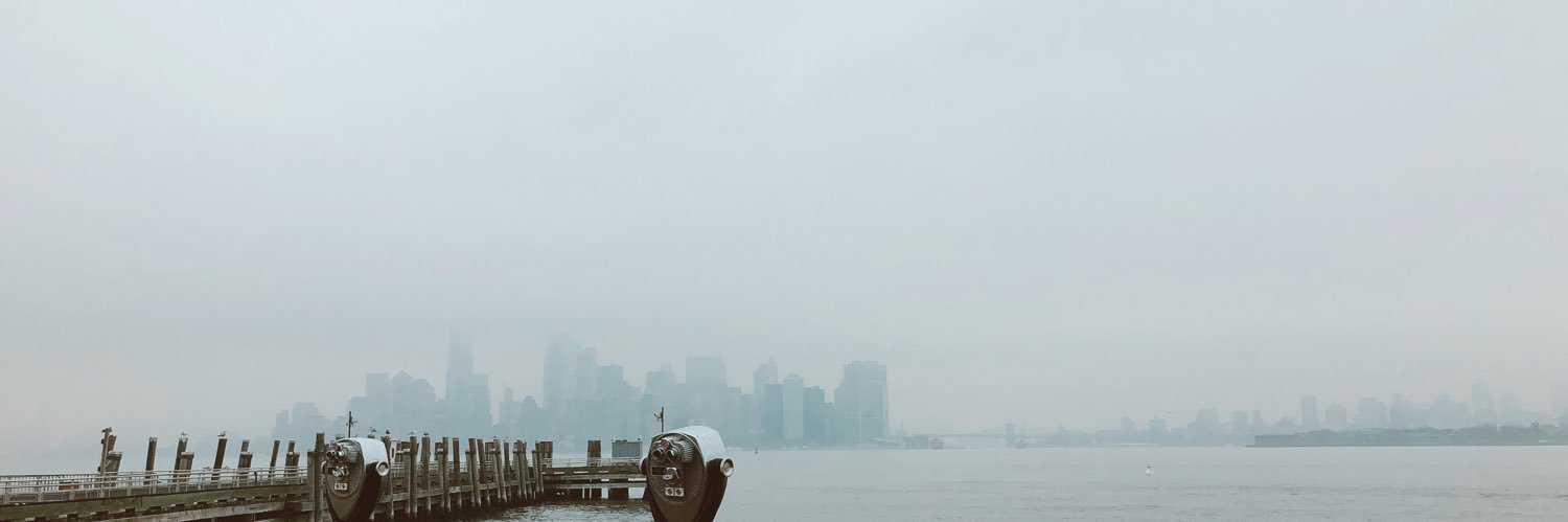sanelypm's profile banner image