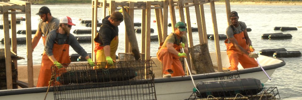 CHEFS A' FIELD: GOOD CATCH banner