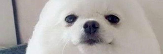 TheNaier's profile banner image