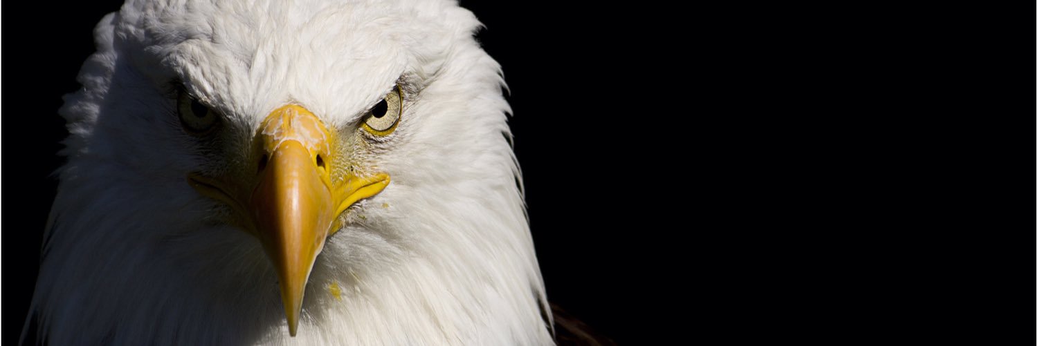 Goal_PE's profile banner image