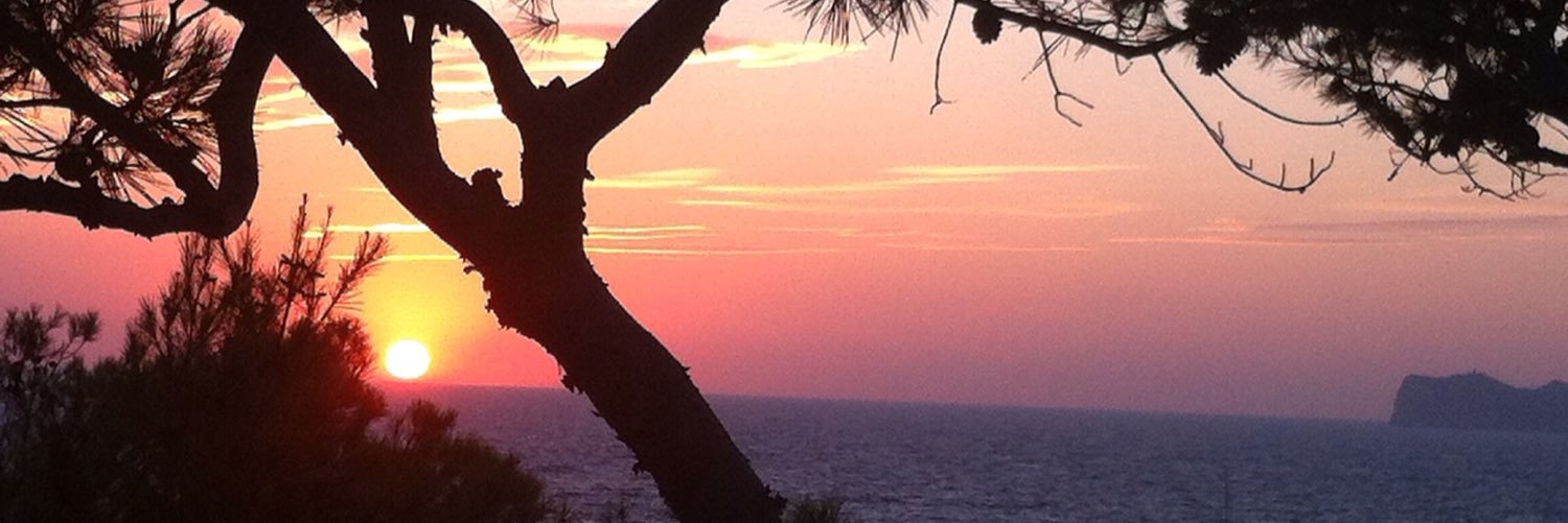 TheGoGirlsGo's profile banner image