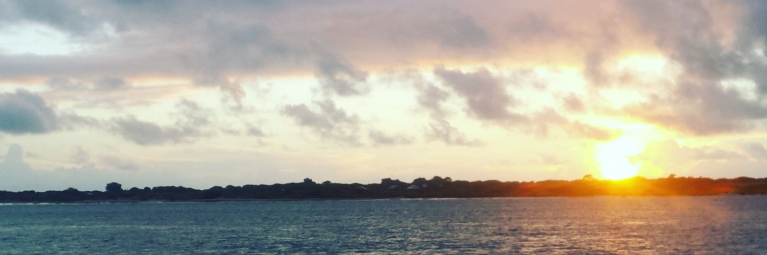 wikkycsk's profile banner image
