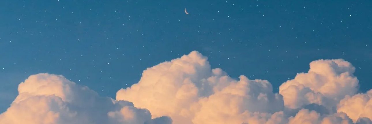platanofreeeto's profile banner image