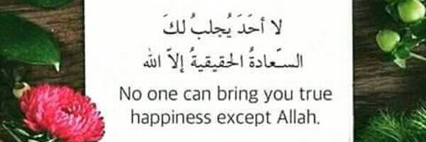 farida68627332's profile banner image