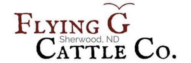 Brad Gilbertson banner