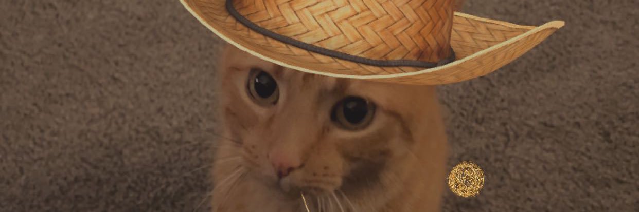JacobEppink's profile banner image