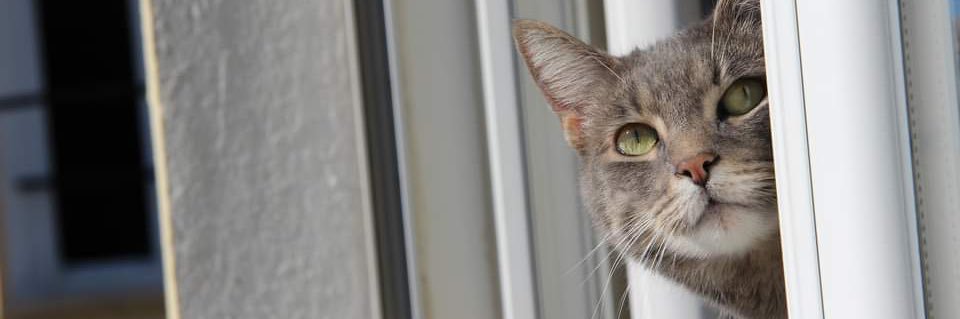 mathilderi09's profile banner image