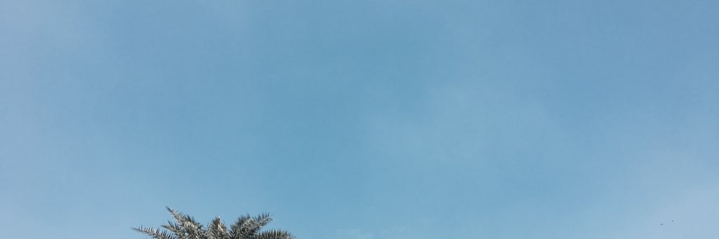 iiiiiiccee's profile banner image