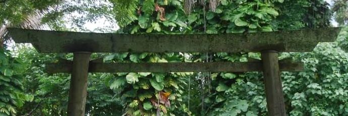 𝕋𝕩𝕦𝕤 banner