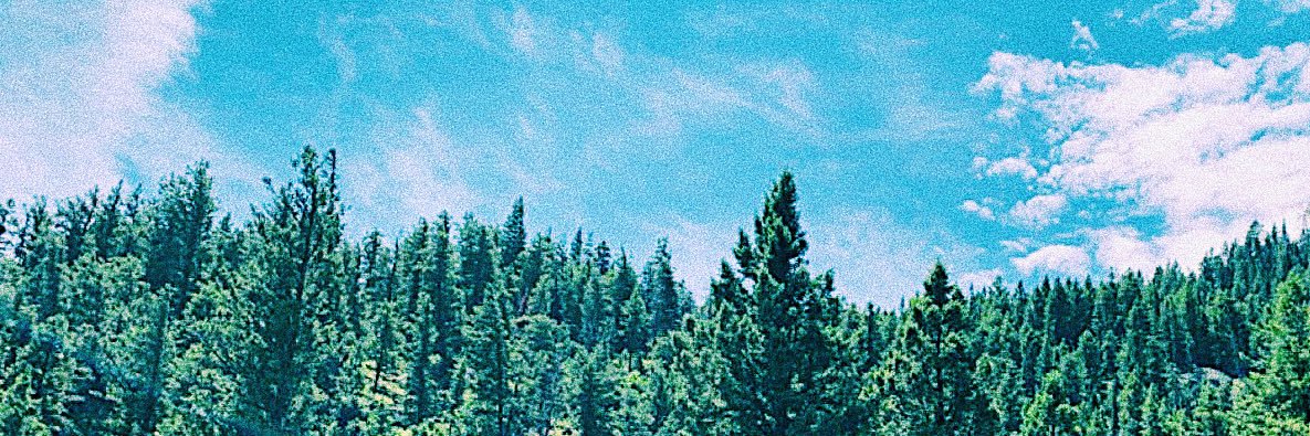 libbyperry23's profile banner image