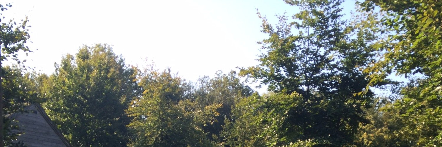 Biekstar's profile banner image